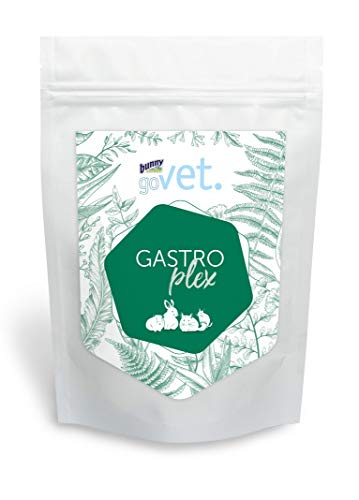 goVet GASTROplex | 325 g | Pelletiertes Ergänzungsfuttermittel für Zwergkaninchen, Meerschweinchen, Chinchillas und Degus | Zur Unterstützung des Verdauungstrakts von Bunny
