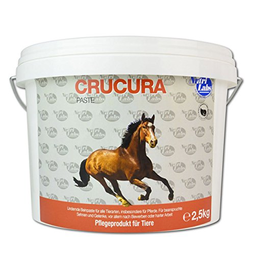 NutriLabs Crucura Basic Paste 2,5 kg von NutriLabs