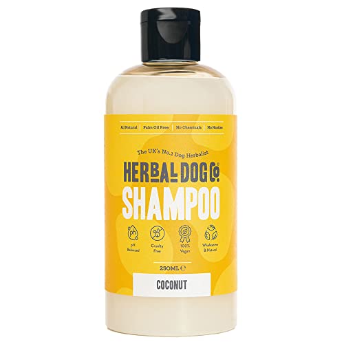 Herbal Dog Co Natürliches Hunde-Shampoo, Kokosnuss, 250 ml, hypoallergen, für die Hundepflege, tierversuchsfrei, vegan, hergestellt in Großbritannien von Herbal Dog Co