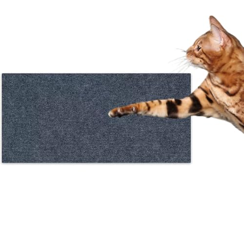 Kratzmatte Katze, Selbstklebend Kratzteppich Katzen Wand, Climbing Cat Scratcher, Kratzbretter Katze, Kratzschutz Katzenkratzmatte für Schützt Teppiche Sofa Möbelschutz (Dark Grey, 40 * 100) von Herjiore