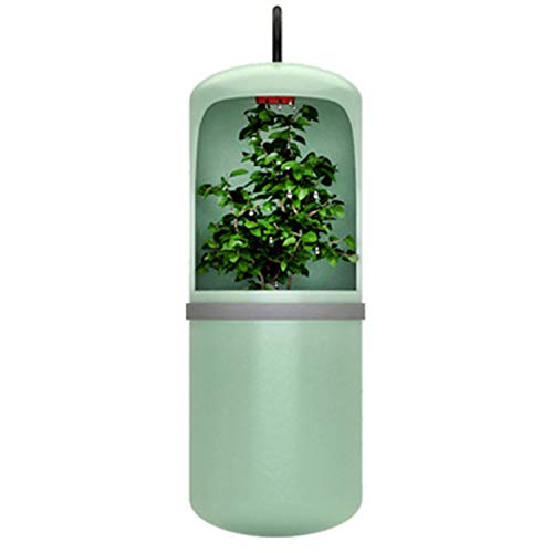 Herklotzn Automatische Trinkwasserquelle Chamäleon Trinkwasserspender Terrarium Amphibien EU-Stecker von Herklotzn