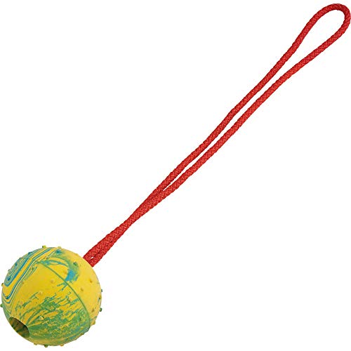 SPRENGER Hundespielzeug Gummiball mit Seil I Zerrspielzeug oder Wurfspielzeug mit Schnur, robuster Ball für Hunde, Ø 50 mm von SPRENGER