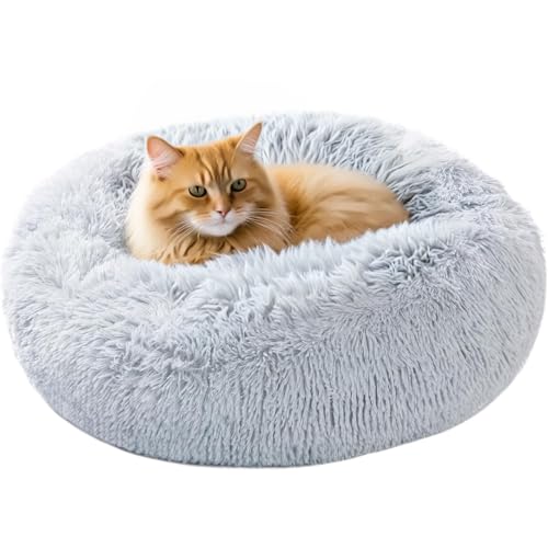 Donut-Hundebetten für kleine Hunde, waschbares, rundes Katzenbett für Indoor-Katzen, Anti-Angst-beruhigendes Haustierbett mit zotteligem Plüsch-Kunstfell und rutschfester Unterseite, Größe S 58,4 cm Donut-Hundebetten für kleine Hunde, waschbares, rundes Katzenbett für Indoor-Katzen, Anti-Angst-beruhigendes Haustierbett mit zotteligem Plüsch-Kunstfell und rutschfester Unterseite, Größe S 58,4 cm von Hervimo