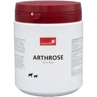 HerzensTier Arthrose 345 ml von HerzensTier