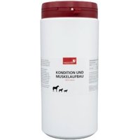 HerzensTier Kondition und Muskelaufbau 600 ml von HerzensTier