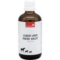 HerzensTier Leber und Niere akut 100 ml von HerzensTier