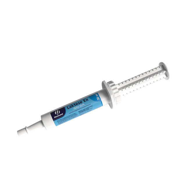 Hestevard Laktese Ex Paste 30ml Für Muskulatur & Energiestoffwechsel Hestevard Laktese Ex Paste 30ml Für Muskulatur & Energiestoffwechsel von Hestevard