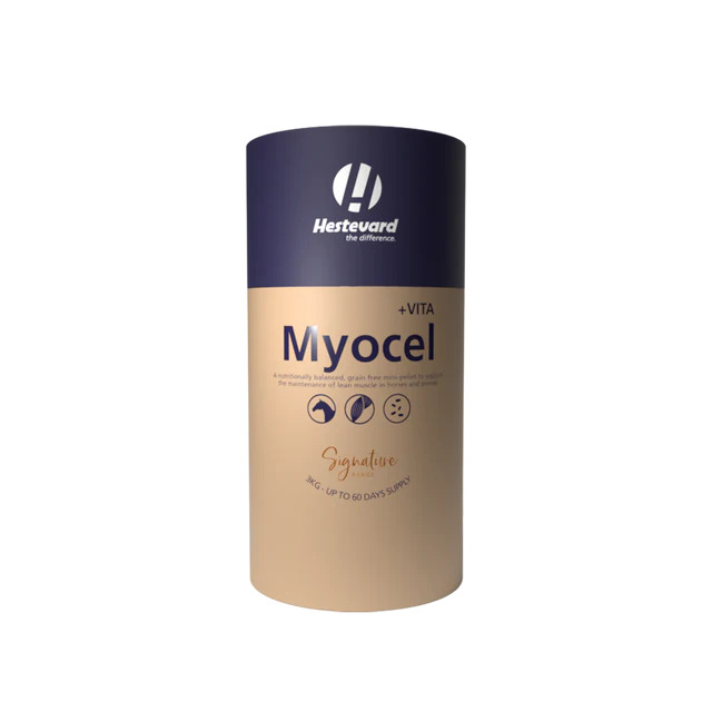 Hestevard Myocel +Vita 3kg Unterstützt Muskelaufbau & Gelenkgesundheit Hestevard Myocel +Vita 3kg Unterstützt Muskelaufbau & Gelenkgesundheit von Hestevard