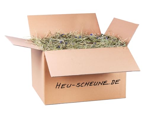 Immunaktivheu der Heu Scheune® I 10kg im Karton I naturreines Heu mit Heilkräutern I für Kaninchen, Meerscheinchen, Nager, Pferde und Co. von Heu-Scheune.de