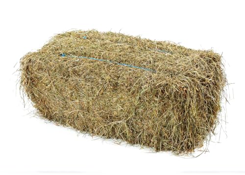 Kräuterheu der Heu Scheune® I 15kg Ballen I 2. Schnitt I weich und energiereich I für Kaninchen, Meerscheinchen, Nager, Pferde und Co. von Heu-Scheune.de
