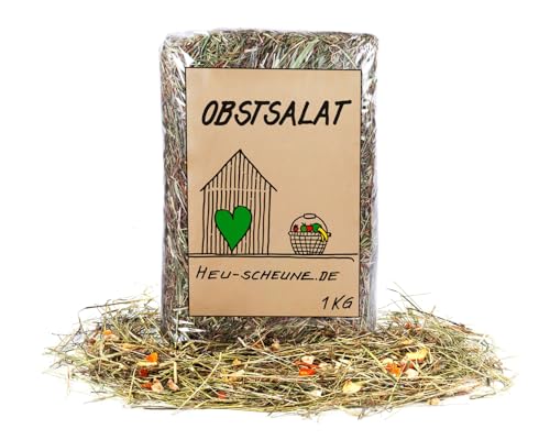 Obstalat der Heu Scheune® I 1kg Tüte I naturreines Heu mit fruchtigem Obst I für Kaninchen, Meerscheinchen, Nager, Pferde und Co. von Heu-Scheune.de