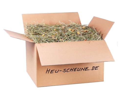 Obstsalat der Heu Scheune® I 10kg im Karton I naturreines Heu mit fruchtigem Obst I für Kaninchen, Meerscheinchen, Nager, Pferde und Co. von Heu-Scheune.de