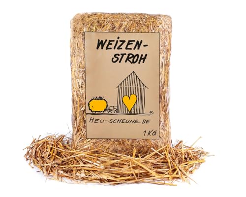 Weizenstroh der Heu Scheune® I 1kg Tüte I Einstreu für Kaninchen, Meerschweinchen, Nager, Pferde und Co. von Heu-Scheune.de