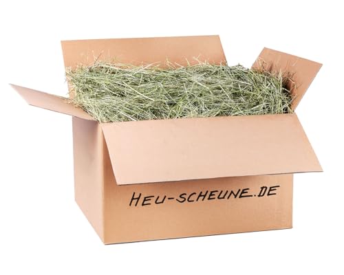 Wiesenheu der Heu Scheune ® I 10kg in Karton I 1. Schnitt I rohfaserreich für Kaninchen, Meerschweinchen, Nager, Pferde und Co. von Heu-Scheune.de