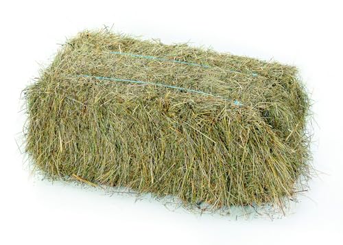 Wiesenheu der Heu Scheune ® I 15kg Ballen I 1. Schnitt I rohfaserreich für Kaninchen, Meerschweinchen, Nager, Pferde und Co. von Heu-Scheune.de
