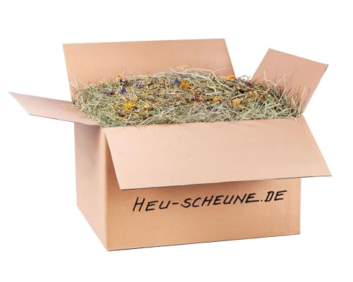 Wilde Blumenwiese der Heu Scheune® I 10kg im Karton I naturreines Heu mit Wildblumen I für Kaninchen, Meerscheinchen, Nager, Pferde und Co. von Heu-Scheune.de