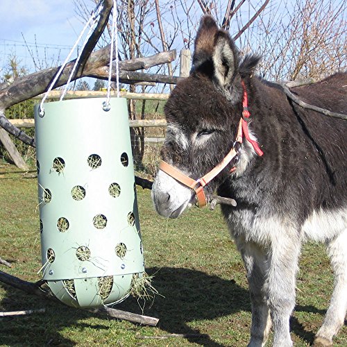 HeuToy Mini (für Esel, Ziege, Schafe, kleine Ponys) (Bausatz), statt Heuraufe von HeuToy