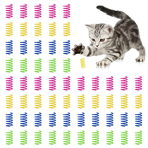 Heveer Katze Spielzeug Kunststoff Spiralfedern Bunte Spiralfedern Kreatives für Katzen Kätzchen Interaktives Spielen 60 Stücke von Heveer