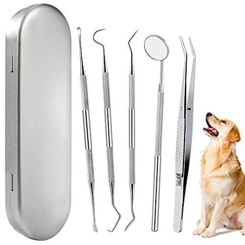 Zahnsteinentferner Hund Zahnreinigung Kit Edelstahl Zahnpflegeset Zahnreinigungswerkzeug für Haustier mit Metall Etui 5 Stück von Heveer