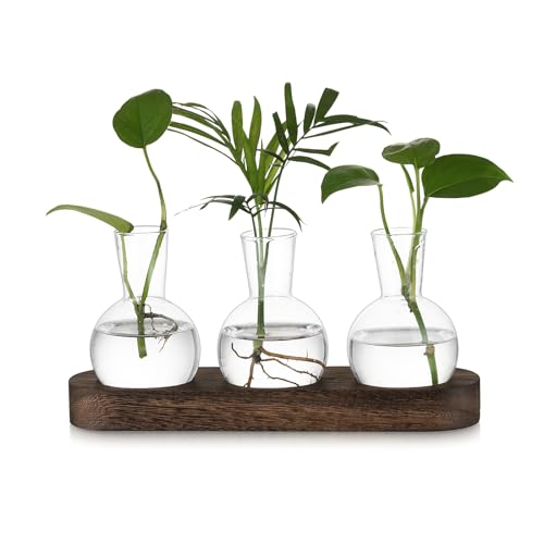 Hewory Terrarium Pflanzen Blumenvase Hydrokultur: Vintage Propagation Station Hydroponic Kleine Vasen für Tischdeko, Terrarium Glas Vase mit Tablett Braunt, 3 Glasvase Klein für Tischdeko Büro Deko Hewory Terrarium Pflanzen Blumenvase Hydrokultur: Vintage Propagation Station Hydroponic Kleine Vasen für Tischdeko, Terrarium Glas Vase mit Tablett Braunt, 3 Glasvase Klein für Tischdeko Büro Deko von Hewory