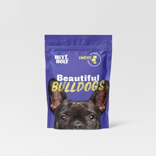 HEY HOLY – Beautiful Bulldogs Snacks – High-Meat Premium Leckerli für Hunde mit 80% Lachs – 4er Pack (4x150g) – Getreidefrei, nur EIN tierisches Protein von HEY HOLY