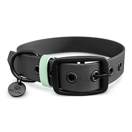 BioThane Halsband Sport | Hundeerziehung | zweifarbig | wasserfest |sehr kleine bis sehr große Hunde | stylish und sportlich | Made in Germany (L (43-55 cm)) von Hey Lana