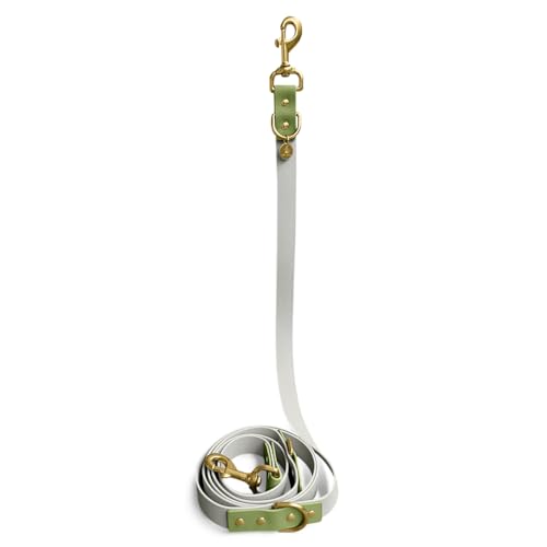 Hey Lana Biothane Hundeleine Führungsleine, Made in Germany, 2 Karabiner & 3-Fach verstellbar, Hund Führleine Leine, Zugleine Hundelaufleine Trainingsleine Handsfree (S, grau/grün, 230 x 1,5 cm) von Hey Lana