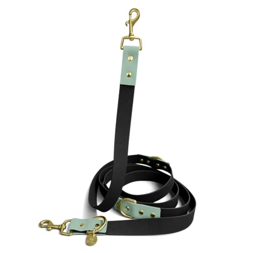 Hey Lana Outdoor Hundeleine Führungsleine, 2 Karabiner & 3-Fach verstellbar, Hund Führleine Leine, Zugleine Hundelaufleine Trainingsleine Handsfree (Schwarz/Mint, M-L (230cm lang, 2,5cm breit)) von Hey Lana