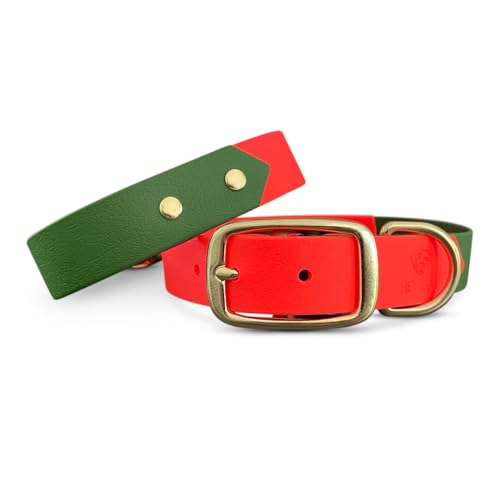 Outdoor Halsband Sport, zweifarbig, wasserfest, robust, für kleine bis große Hunde, sportlich & stylisch, Made in Germany (L (43-53cm)) von Hey Lana