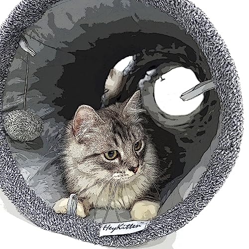 HeyKitten 12 x 50 Faltbarer Knister-Katzen-Spieltunnel, Verstecken und Suchen, Haustierspielzeug für Indoor-Kätzchen, Welpen, Hasen, Kaninchen und kleine Hunde von HeyKitten