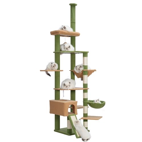 Hebly HCT091GM Kratzbaum mit Hängematte, vom Boden bis zur Decke, Kaktus-Katzenhütte, hoher Katzenkletterturm, verstellbar, mit Kratzstämmen für Indoor-Katzen, Grün / Gelb Hebly HCT091GM Kratzbaum mit Hängematte, vom Boden bis zur Decke, Kaktus-Katzenhütte, hoher Katzenkletterturm, verstellbar, mit Kratzstämmen für Indoor-Katzen, Grün / Gelb von Heybly
