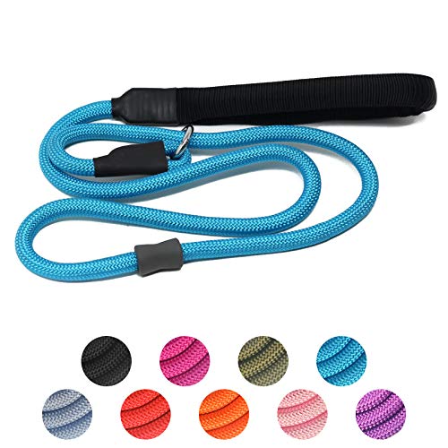 Starke Retrieverleine, robuste Nylon-Hundetrainingsleine, langlebige blaue Hundeleine mit Gummistopper und gepolstertem Griff für kleine, mittelgroße und große Welpen, 1,8 m, Blau von Heydoggy