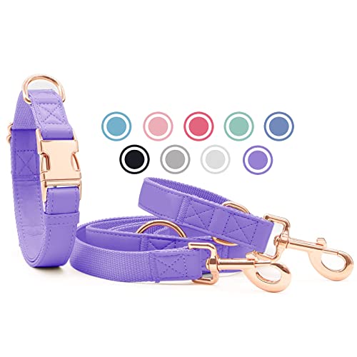 Weich Leder Hundehalsband und Leine (2m) Set - 3-Fach Verstellbar Hundeleine mit Halsband, Stilvollen Rose Gold Metall Schnalle & Nylon Hund Leinen für Welpen Kleine Mittlere Große Hunde HeViolett,XS von Heydoggy