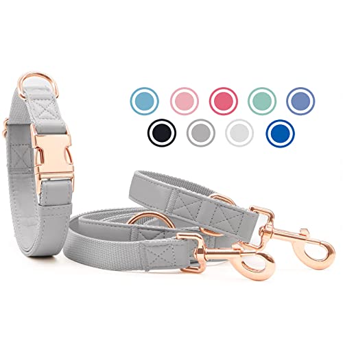 Weich Leder Hundehalsband und Leine (2m) Set - 3-Fach Verstellbar Hundeleine mit Halsband, Stilvollen Rose Gold Metall Schnalle & Nylon Hund Leinen für Welpen Kleine Mittlere Große Hunde Grau,L von Heydoggy