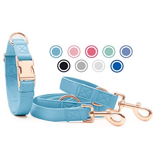 Weich Leder Hundehalsband und Leine (2m) Set - 3-Fach Verstellbar Hundeleine mit Halsband, Stilvollen Rose Gold Metall Schnalle & Nylon Hund Leinen für Welpen Kleine Mittlere Große Hunde HellBlau,S von Heydoggy