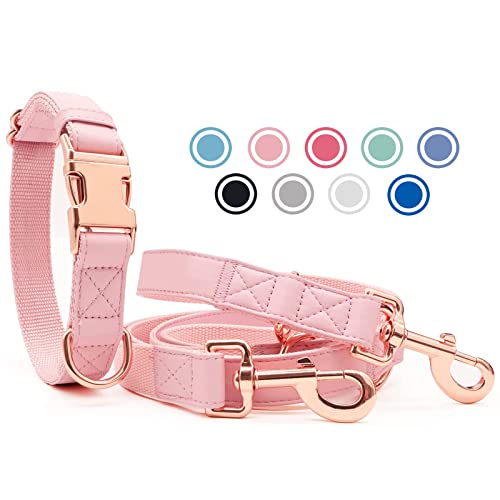 Weich Leder Hundehalsband und Leine (2m) Set - 3-Fach Verstellbar Hundeleine mit Halsband, Stilvollen Rose Gold Metall Schnalle & Nylon Hund Leinen für Welpen Kleine Mittlere Große Hunde Rosa,M von Heydoggy