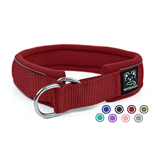 Weich Neopren Gepolstert Hundehalsband (4cm Breite) Reflektierend Hund Halsband mit Robust Nylon & Zugstopp, Bequem Zughalsband Dressurhalsband Kleine Mittlere Große Hunde Anti-Zug Walken L Wein von Heydoggy