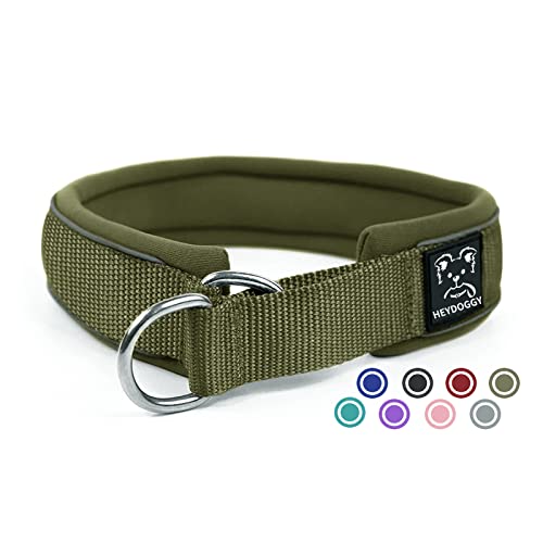 Weich Neopren Gepolstert Hundehalsband (4cm Breite) Reflektierend Hund Halsband mit Robust Nylon & Zugstopp, Bequem Zughalsband Dressurhalsband für Kleine Mittlere Große Hunde Walken Armee Grün S von Heydoggy