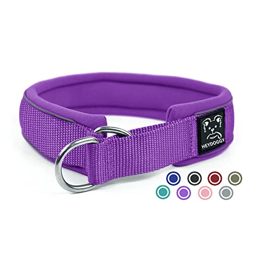 Weich Neopren Gepolstert Hundehalsband (4cm Breite) Reflektierend Hund Halsband mit Robust Nylon & Zugstopp Bequem Zughalsband Dressurhalsband für Kleine Mittlere Große Hund Anti-Zug Walken XL,Violett von Heydoggy