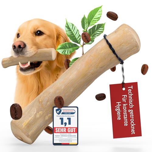Heygret Kauknochen aus Kaffeeholz für Hunde L - Natürliches Kauspielzeug zur Zahnpflege & Stressabbau - Langanhaltende Beschäftigung mit nachhaltigem Kauholz - Kaustab Heygret Kauknochen aus Kaffeeholz für Hunde L - Natürliches Kauspielzeug zur Zahnpflege & Stressabbau - Langanhaltende Beschäftigung mit nachhaltigem Kauholz - Kaustab von Heygret