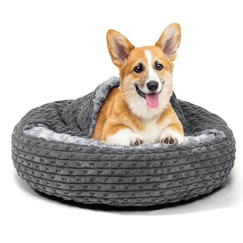 Heymamba Donut Hunde- und Katzenbett, kleines rundes Hundebett, Hundehöhlenbett mit Kapuze für mittelgroße kleine Hunde, Haustierbetten mit atmungsaktivem Rosenflaum zur Förderung des Schlafs, warmes Heymamba Donut Hunde- und Katzenbett, kleines rundes Hundebett, Hundehöhlenbett mit Kapuze für mittelgroße kleine Hunde, Haustierbetten mit atmungsaktivem Rosenflaum zur Förderung des Schlafs, warmes von Heymamba
