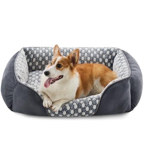 Heymamba Großes Hundebett, rechteckig, 76 x 61 x 23 cm, beruhigendes Hundebett für Border Collie Heymamba Großes Hundebett, rechteckig, 76 x 61 x 23 cm, beruhigendes Hundebett für Border Collie von Heymamba