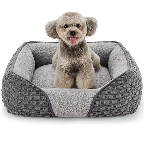 Heymamba Kleines Hundebett, Welpenbett, Hunde- und Katzenbett, kleines Haustiersofa, 53 x 50 x 17 cm von Heymamba