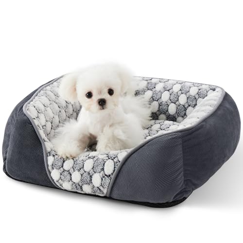 Heymamba Kleines Hundebett, Welpenbett und Anti-Biss-Außenstoff aus geometrischen Streifen, Hunde- und Katzenbett, kleines Haustier-Sofabett mit warmem und hautfreundlichem ovalem Flanell für Heymamba Kleines Hundebett, Welpenbett und Anti-Biss-Außenstoff aus geometrischen Streifen, Hunde- und Katzenbett, kleines Haustier-Sofabett mit warmem und hautfreundlichem ovalem Flanell für von Heymamba