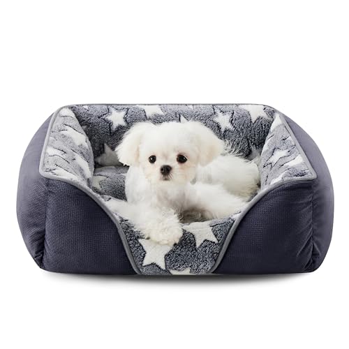 Heymamba Kleines Hundebett Welpenbett und Außenstoff aus kleinem Knochen, Hunde- und Katzenbett, kleines Haustier-Sofabett mit warmem und hautfreundlichem Sternflanell, 52 x 50 x 17 cm, geeignet für Heymamba Kleines Hundebett Welpenbett und Außenstoff aus kleinem Knochen, Hunde- und Katzenbett, kleines Haustier-Sofabett mit warmem und hautfreundlichem Sternflanell, 52 x 50 x 17 cm, geeignet für von Heymamba