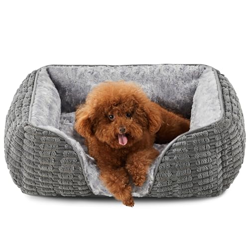 Heymamba Kleines Hundebett mit Weizenstachel-Design, Hunde- und Katzenbett, atmungsaktives und hautfreundliches Rosensamt, geeignet für Chihuahua/Französische Bulldogge, 49 x 48 x 16 cm Heymamba Kleines Hundebett mit Weizenstachel-Design, Hunde- und Katzenbett, atmungsaktives und hautfreundliches Rosensamt, geeignet für Chihuahua/Französische Bulldogge, 49 x 48 x 16 cm von Heymamba