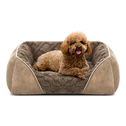 Heymamba Kleines Hundebett mit weichem Maiskern-Design für Corgi/Französische Bulldogge/Chihuahua/Yorkshire, Hundebett mit atmungsaktivem Flaum zur Förderung des Schlafes, 52 x 50 x 17 cm Heymamba Kleines Hundebett mit weichem Maiskern-Design für Corgi/Französische Bulldogge/Chihuahua/Yorkshire, Hundebett mit atmungsaktivem Flaum zur Förderung des Schlafes, 52 x 50 x 17 cm von Heymamba