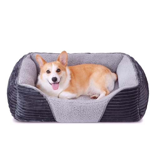 Heymamba Mittelgroßes Hundebett, waschbar, mittelgroße Hundebetten mit Seiten, Hundesofa gefüllt mit 1,3 kg hochdichter Baumwolle, bietet Nacken- und Taillenunterstützung für mittelgroße Border Heymamba Mittelgroßes Hundebett, waschbar, mittelgroße Hundebetten mit Seiten, Hundesofa gefüllt mit 1,3 kg hochdichter Baumwolle, bietet Nacken- und Taillenunterstützung für mittelgroße Border von Heymamba