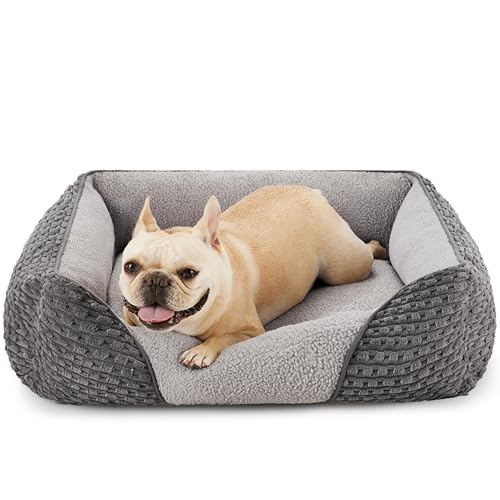 Heymamba Mittelgroßes Hundebett maschinenwaschbar, Hundebett mittelgrau mit 20 cm hoher Seite für Dackel, 66 x 55 x 21 cm von Heymamba