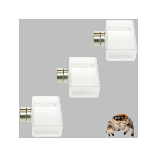 Heyshapeing 3er-Pack transparente Springspinnen-Futternäpfe – winzige Futter- und Wassernäpfe für springende Spinnen, Vogelspinnen und andere kleine Haustiere Heyshapeing 3er-Pack transparente Springspinnen-Futternäpfe – winzige Futter- und Wassernäpfe für springende Spinnen, Vogelspinnen und andere kleine Haustiere von Heyshapeing
